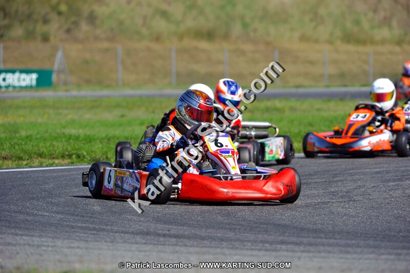 DSC_ (1253).jpg